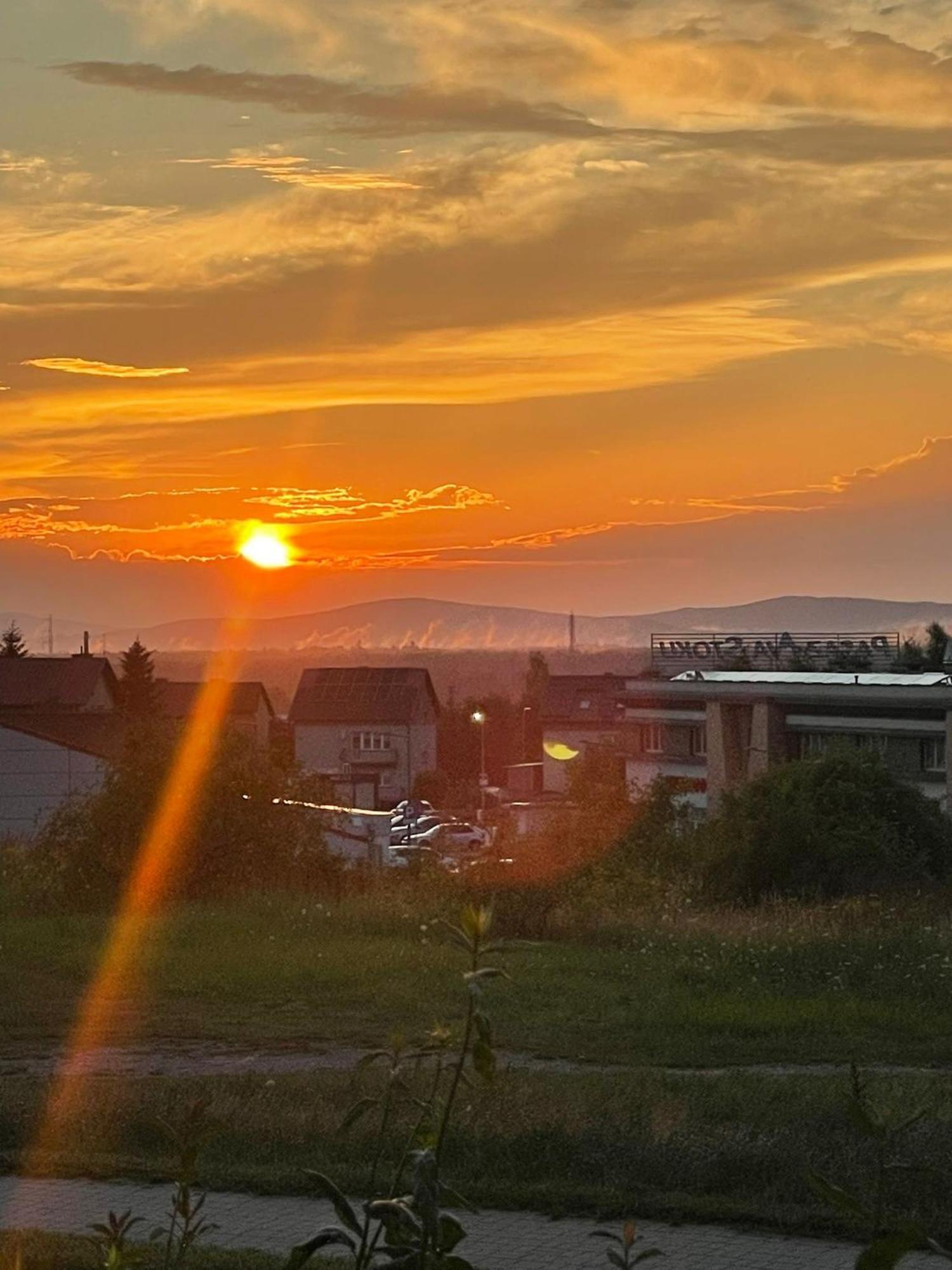 Apartament Laura Z Ogrodkiem Kielce Zewnętrze zdjęcie