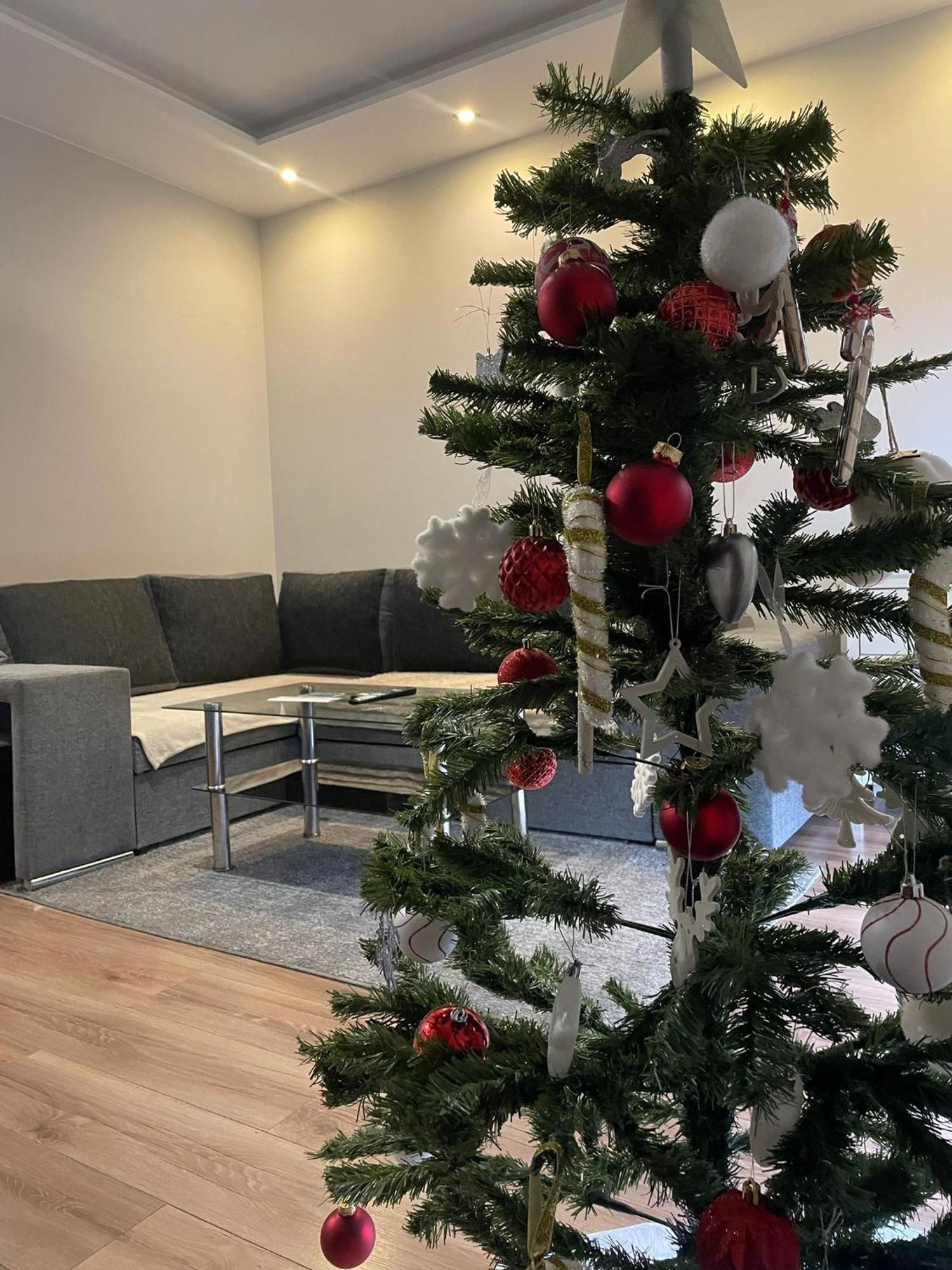 Apartament Laura Z Ogrodkiem Kielce Zewnętrze zdjęcie